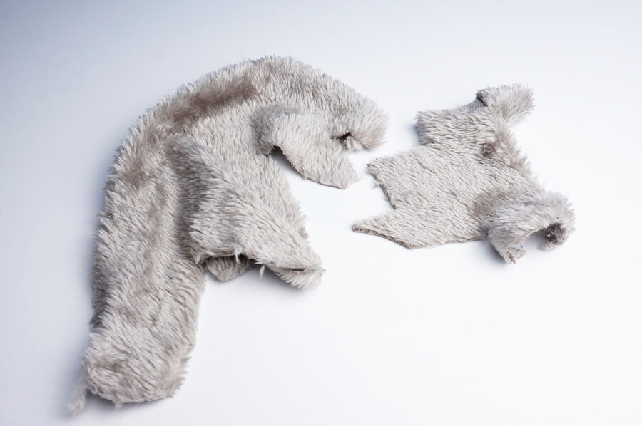 XESRAY 골드 힐드 (2025WF 한정판)_4.jpg