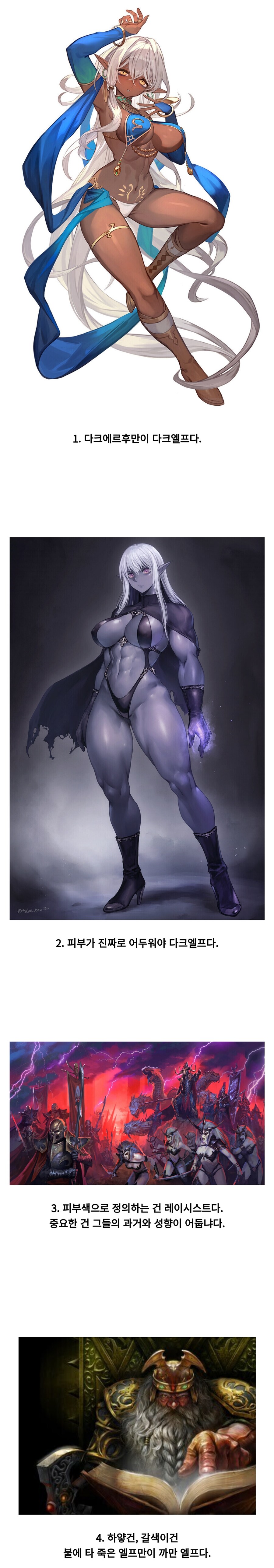 어디까지를 다크엘프라 정의해야 하는가.jpg_1.png