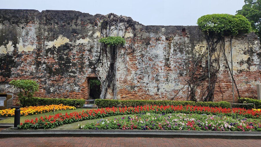 [대만]타이난 투어중 먹은 것들(굴전, 떠우화, 흑당버블티등)_13.jpg