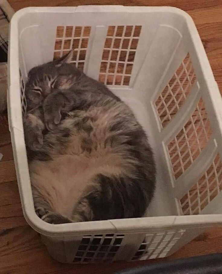 몸매 쩐다 ㅋㅋ.jpg_1.jpg