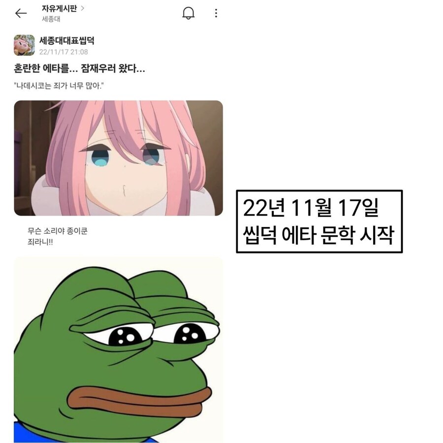 세종대 대표씹덕 근황.jpg_6.jpg