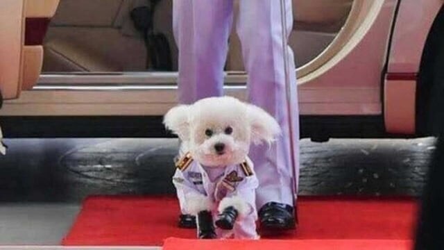 태국 공군이 현재 위기인 이유_3.jpg