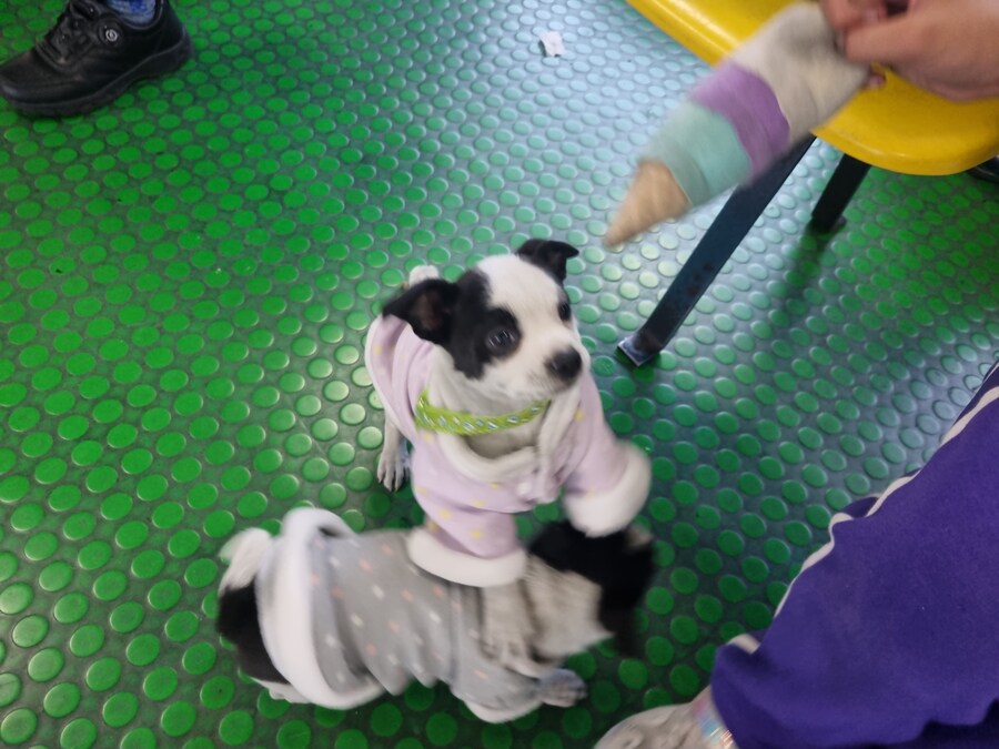 돌겠다 잠이 안와_6.jpg