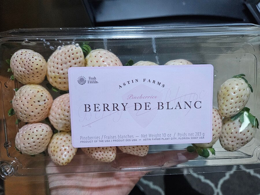 미국 파인베리 딸기_1.jpg