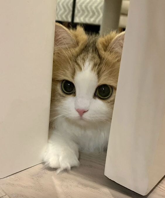 유게가 또 개판이되려하잖아?_2.jpg