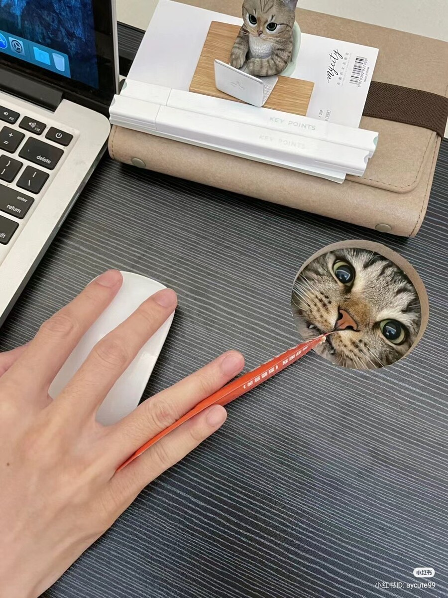 유게가 또 개판이되려하잖아?_9.jpg