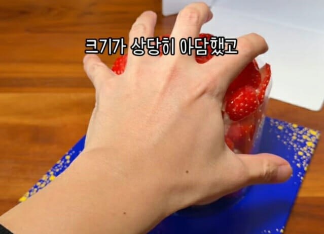 현재 논란중이라는 파바 신상 케이크_3.jpg