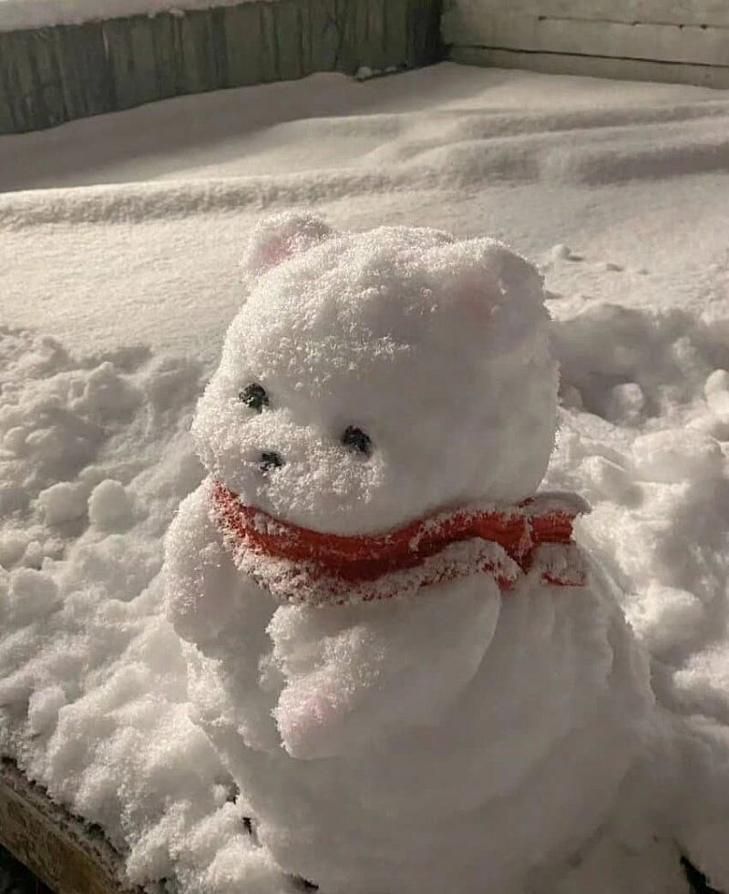 어느 디시인이 만든 강아지 눈사람 ㄷㄷㄷ;;_1.jpg