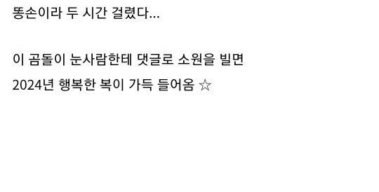 어느 디시인이 만든 강아지 눈사람 ㄷㄷㄷ;;_4.jpg