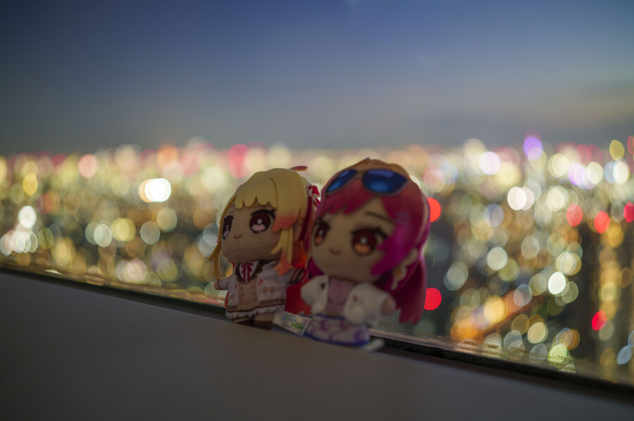 버튜버) 늦은 리글로스 라이브 후기 겸 도쿄 여행기! (사진 많음)_37.jpg