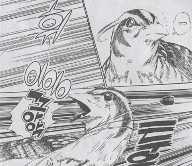 의외로 메추라기 잡을 때 나오는 소리.jpg_2.png