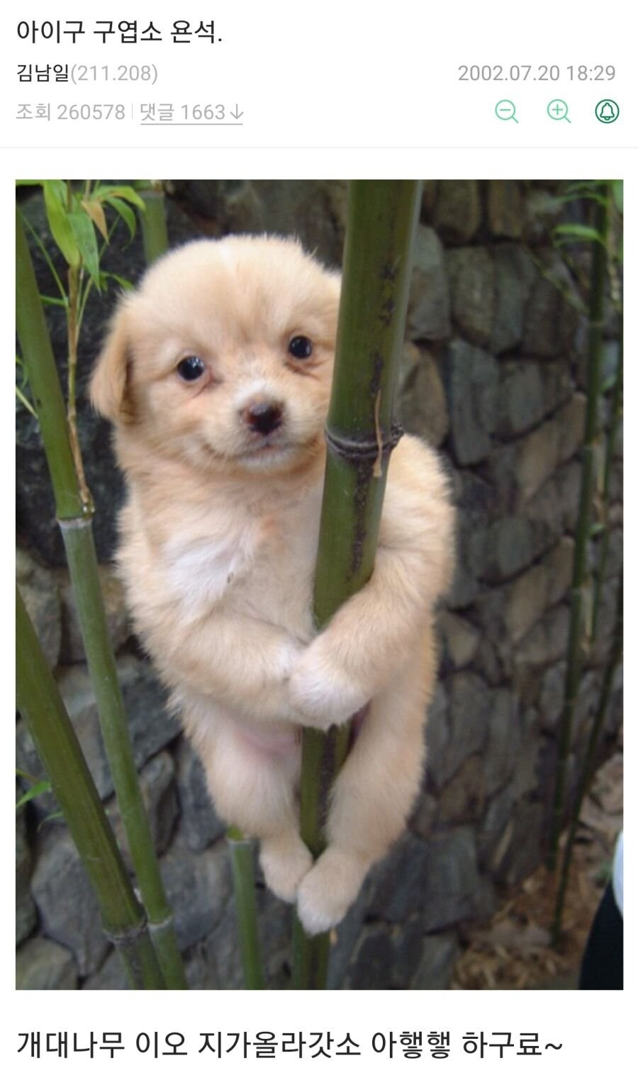 귀여운 강아지를 본 2002년 당시 사람들의 반응_1.jpg