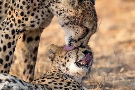 지금 베글 적중률 새벽반 단톡방에 있는 애들만 있어서 그럼_1.jpg