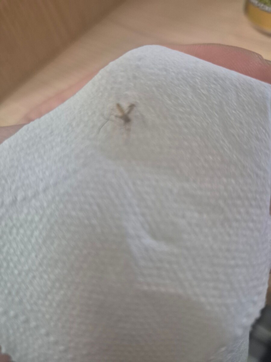 올해 12월은 여자랑 보내게 해주세요_1.jpg