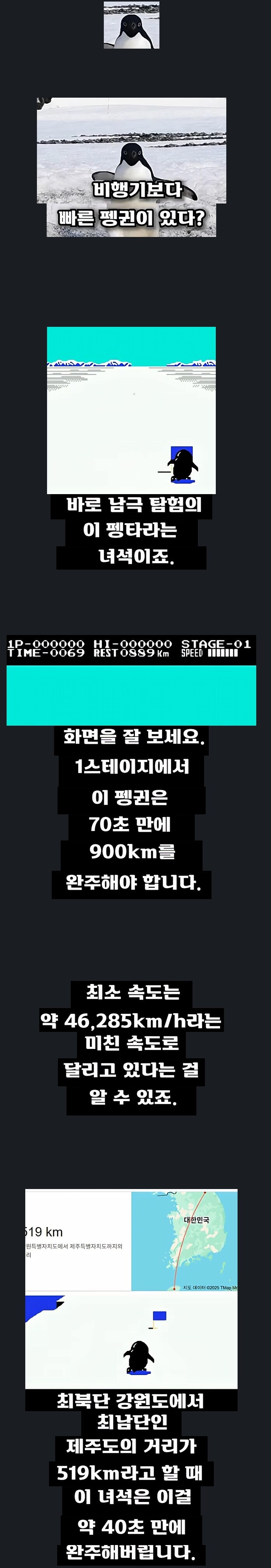 세상에서 가장 빠른 새