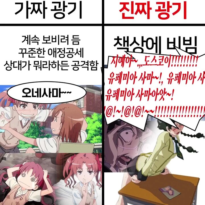 백합보빔 가짜 광기 vs 진짜 광기.jpg_1.jpg