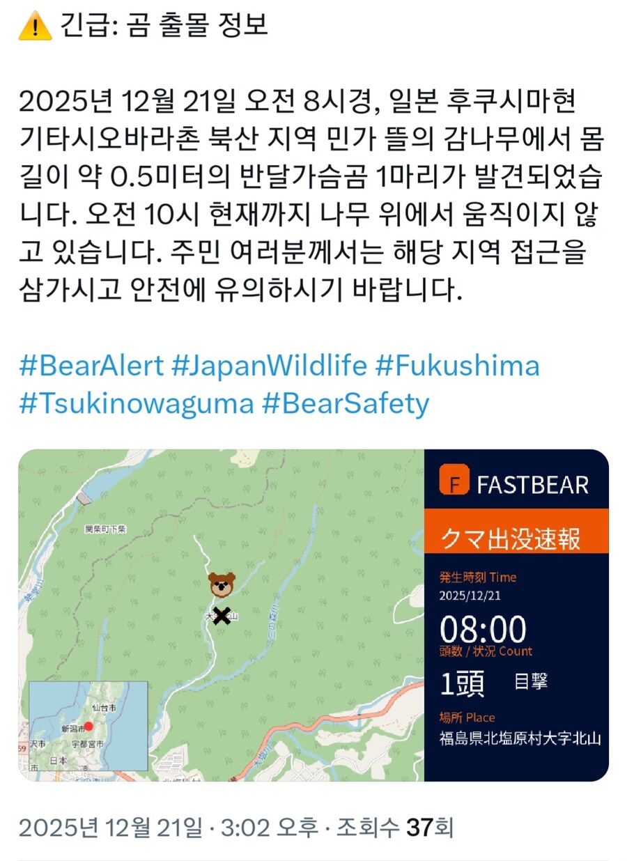 곰) 얼탱이없는 일본 곰 출몰 경보 근황_2.jpg