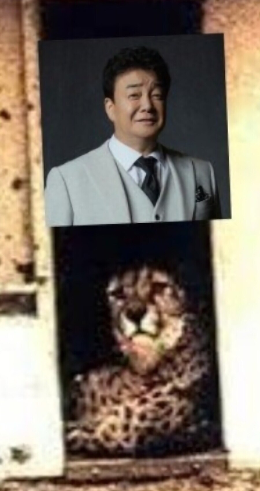 25년 12개월 내내 하루 빠짐없이 루리웹 베스트간 존재_2.jpg