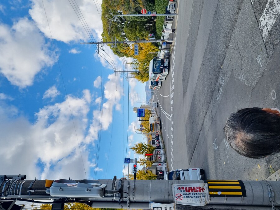 일본 워홀 32일차 교토 1박2일 호텔조식 니시키시장 탐방 도후쿠지(동복사)디저트_84.jpg