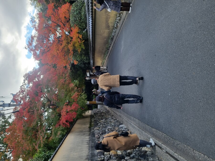 일본 워홀 32일차 교토 1박2일 호텔조식 니시키시장 탐방 도후쿠지(동복사)디저트_87.jpg