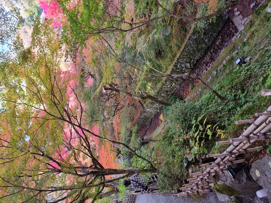 일본 워홀 32일차 교토 1박2일 호텔조식 니시키시장 탐방 도후쿠지(동복사)디저트_111.jpg