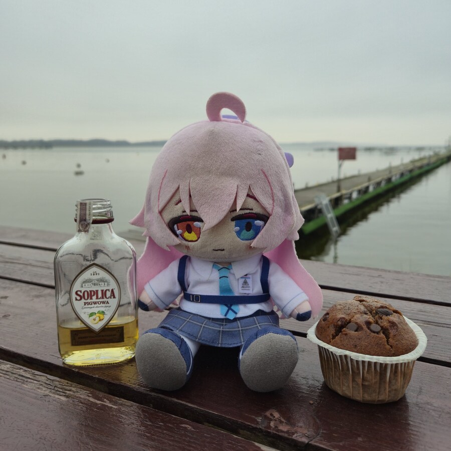 블루아카) 호시노 인형 인지도에 높은 기여를 했다고 보는 사람_2.jpg