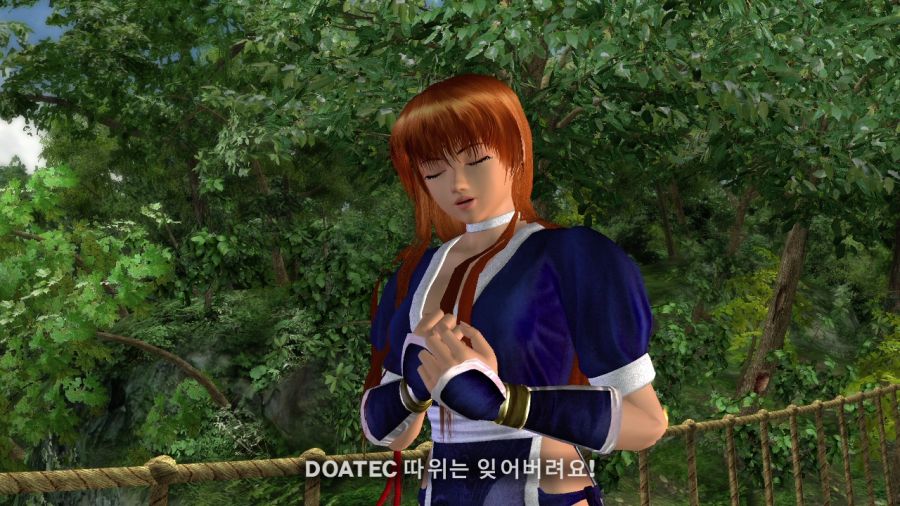 DEAD OR ALIVE 4_7.jpg