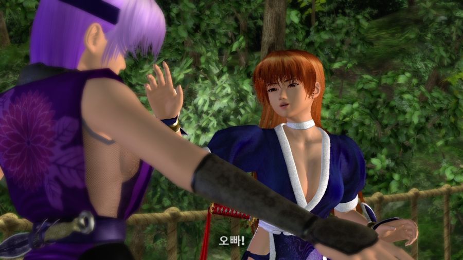 DEAD OR ALIVE 4_14.jpg