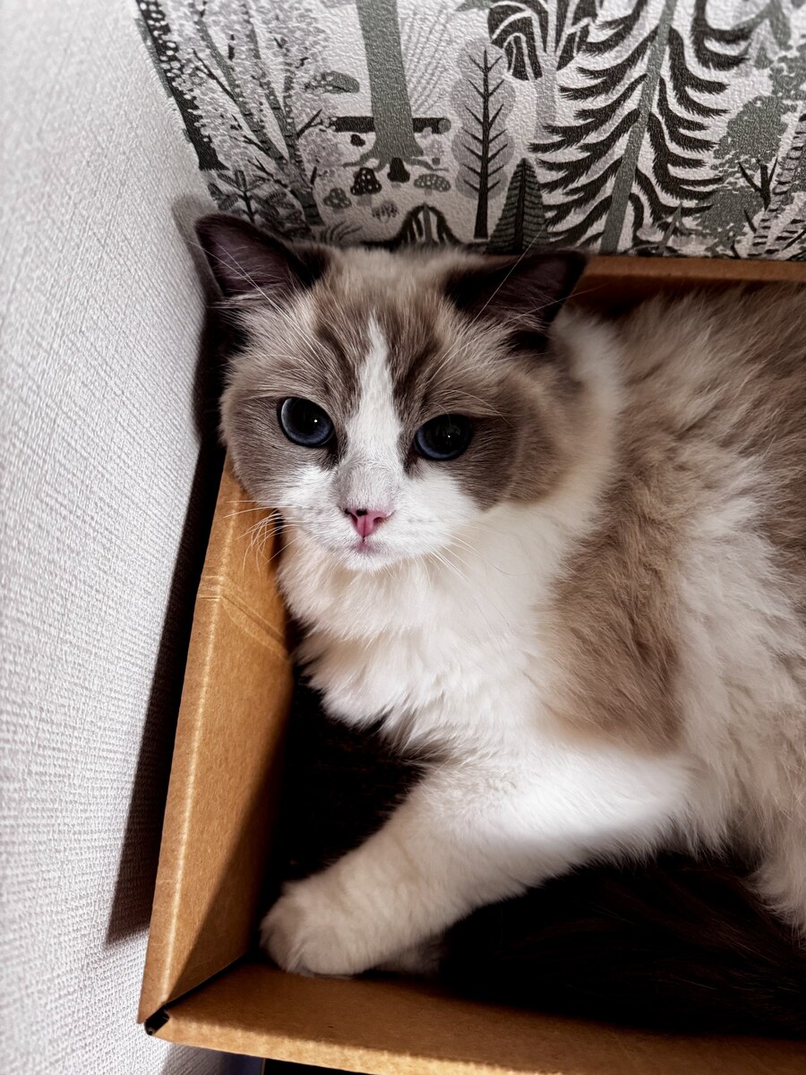 오랜만에 록희!_2.jpg