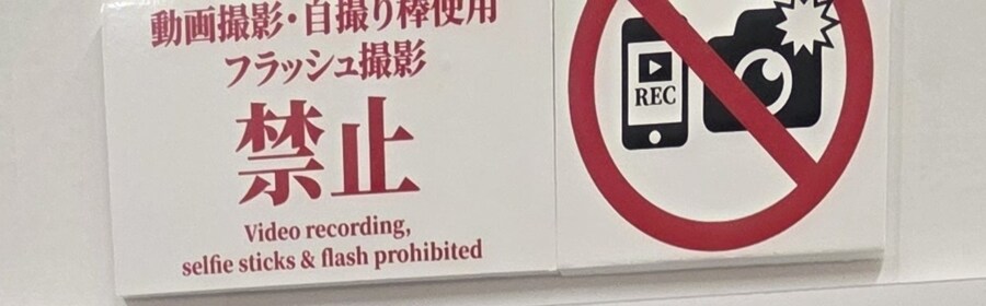 엥 유리히메전 사진 찍지말라고 하던데_1.jpg