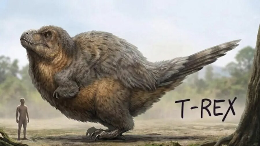 티라노 억까 복원도가 자꾸 나오는 이유.jpg_2.png