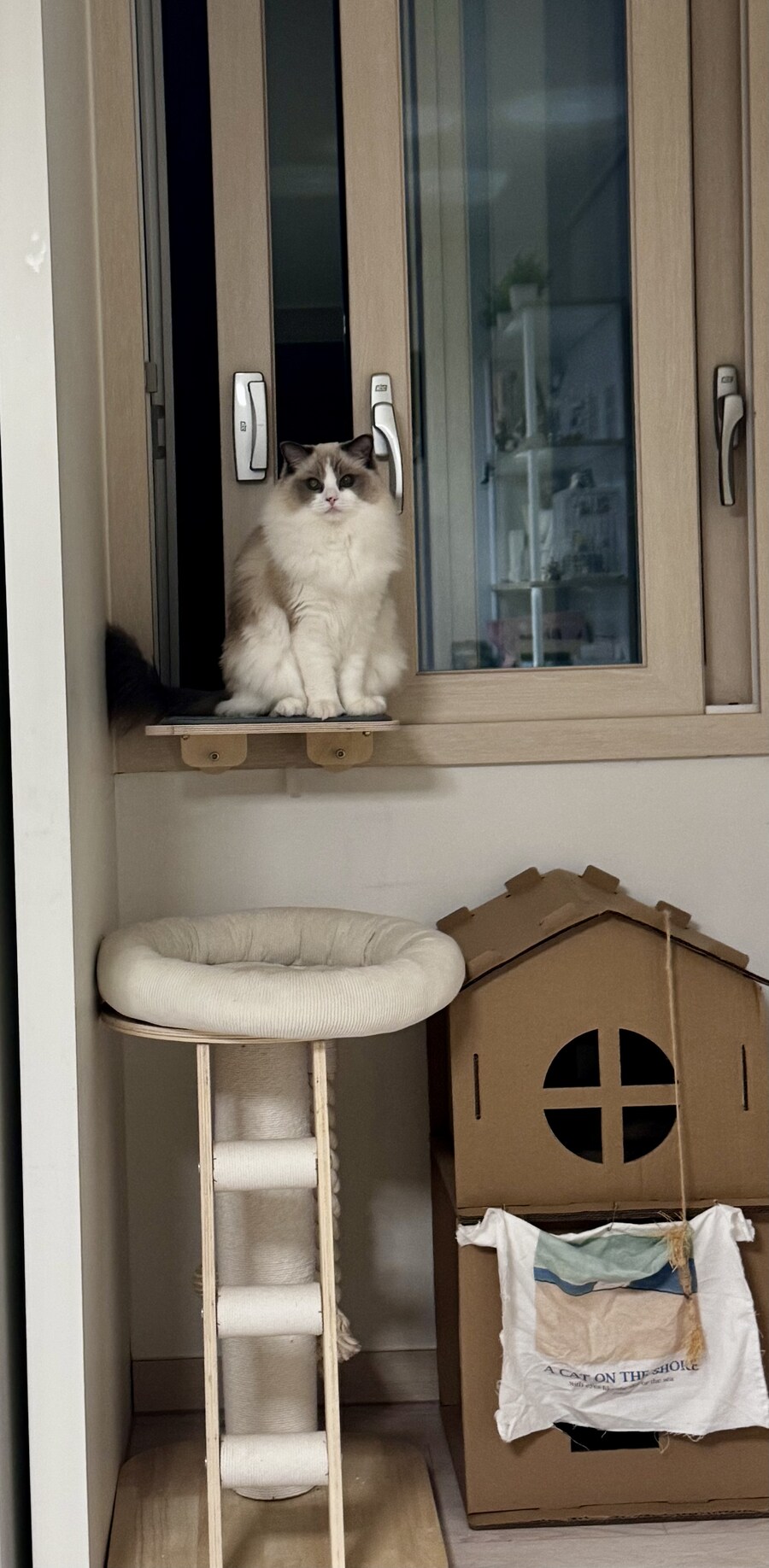 오랜만에 록희!_10.jpg