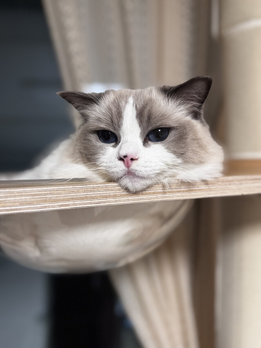 오랜만에 록희!_12.jpg