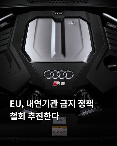 사다리 차기 실패한 유럽 근황_1.jpg