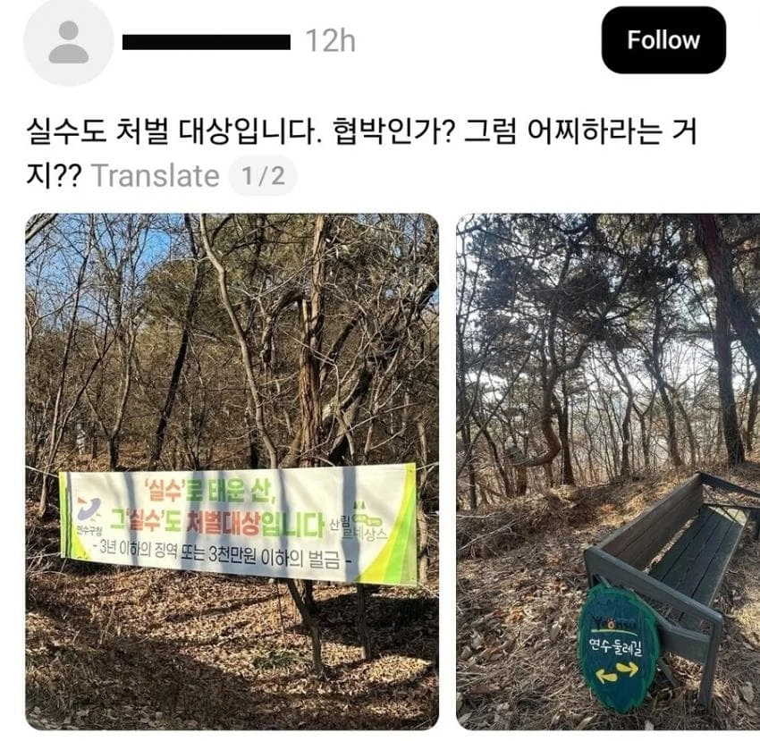 실수도 처벌이라는 산불 방지 캠페인에 긁힌 사람.JPG_1.webp