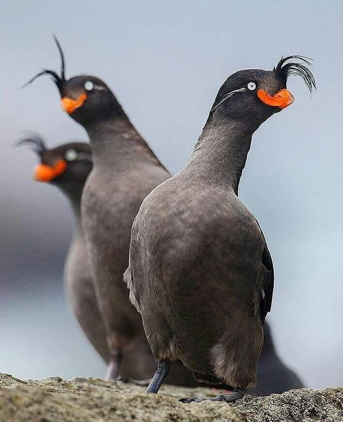 애들 보는거라고 대충 그렸네 ㅋㅋ_1.jpg