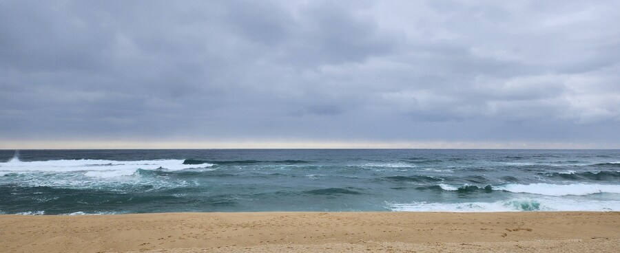 강릉 당일치기 혼술여행(강릉 일식집 후토)_7.jpg