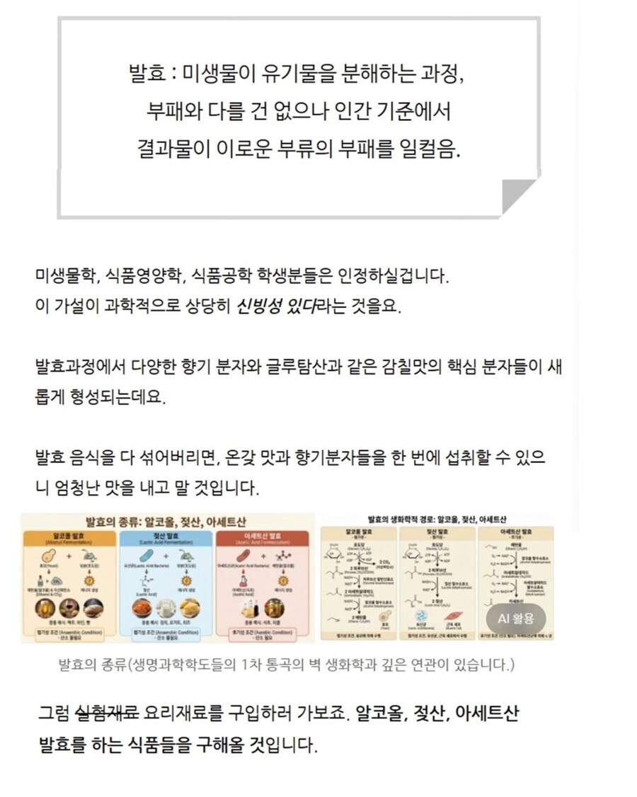 김치볶음밥을 맛있게 먹는 과학적 방법_2.jpg