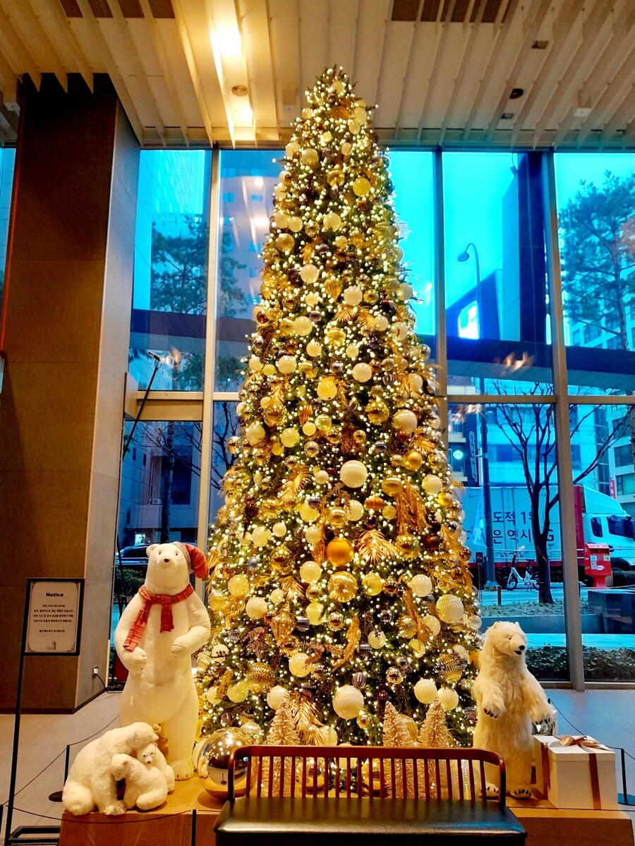 미리 크리스마스 트리보러 가볼만한곳들 (스압)_3.jpg
