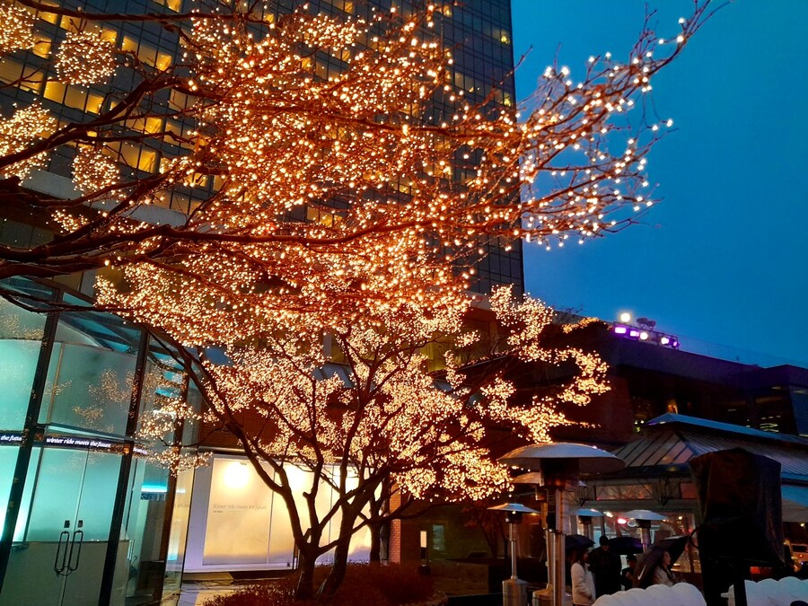 미리 크리스마스 트리보러 가볼만한곳들 (스압)_4.jpg