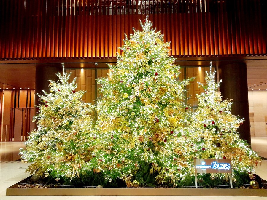 미리 크리스마스 트리보러 가볼만한곳들 (스압)_10.jpg