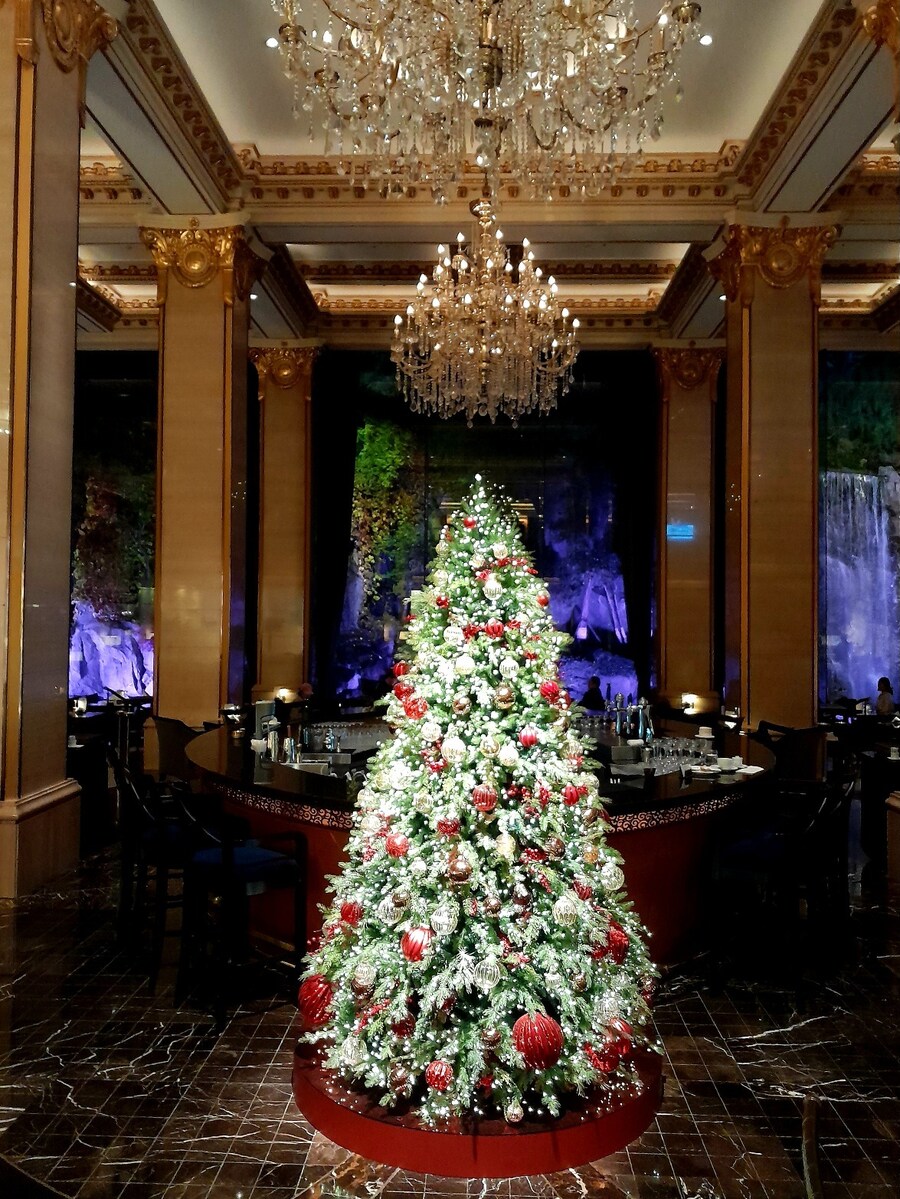 미리 크리스마스 트리보러 가볼만한곳들 (스압)_19.jpg