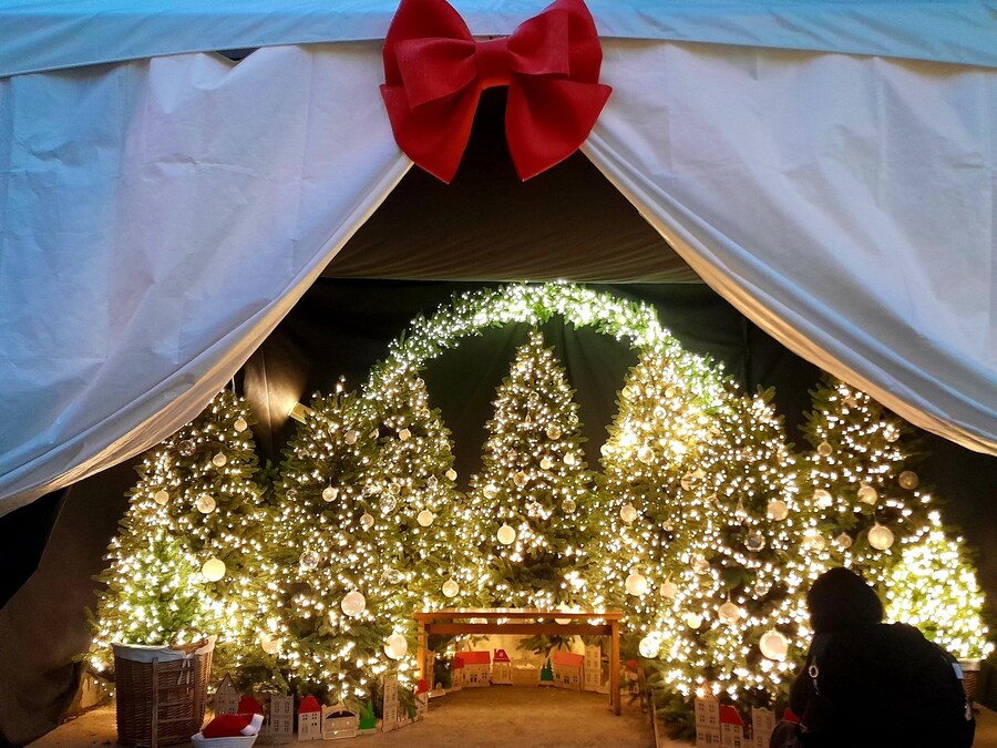 미리 크리스마스 트리보러 가볼만한곳들 (스압)_36.jpg