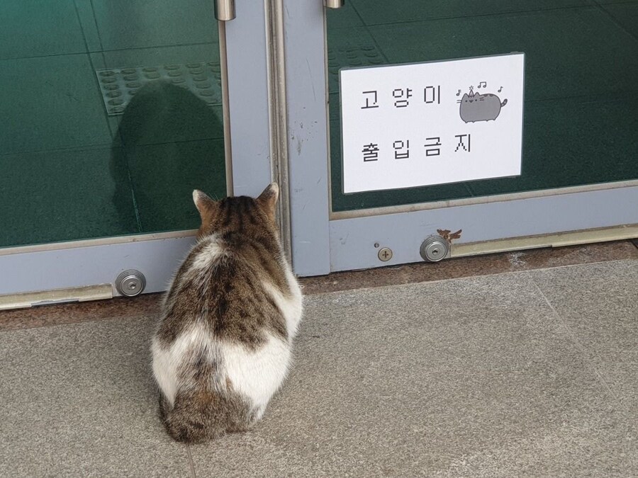 할아버지가 들려주신 어린시절 왜정시대 썰_1.jpg