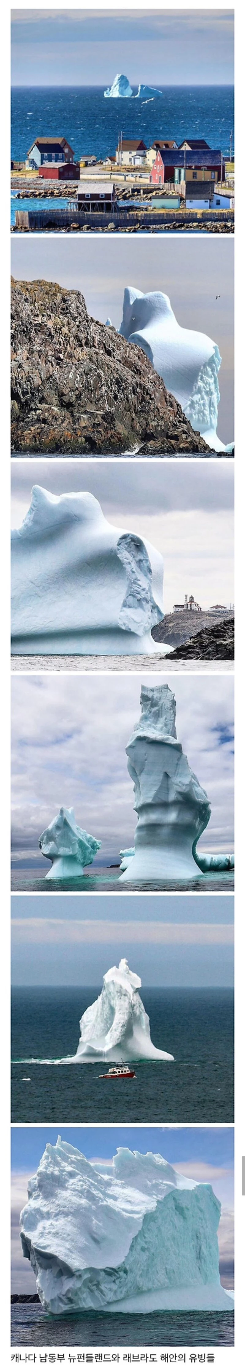 거대한 유빙 사진들.JPG_1.webp