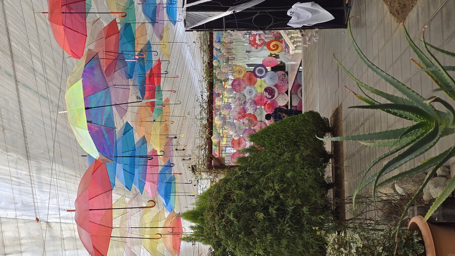 [일본] 이나와시로 호수 일주 및 첫 후쿠시마 여행 (스압)_36.jpg