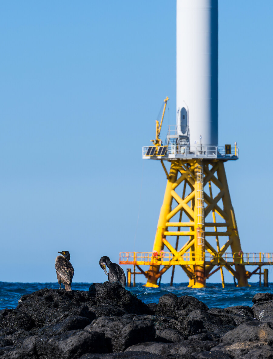 길을 걷다 만난 겁나 큰 바람개비_2.jpg