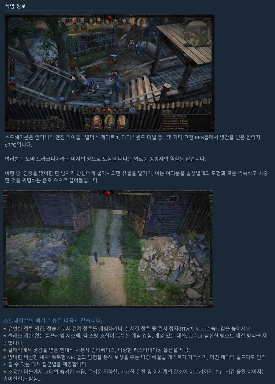 판타지 CRPG "소드헤이븐" 스팀 정식 출시_4.jpg