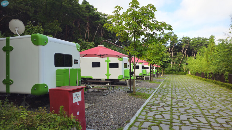 뭘 해도 재미없는 나이가 되어버렸습니다._77.jpg