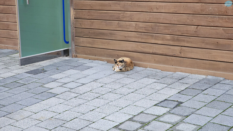 뭘 해도 재미없는 나이가 되어버렸습니다._43.jpg